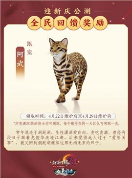 天龙八部私服  制造
